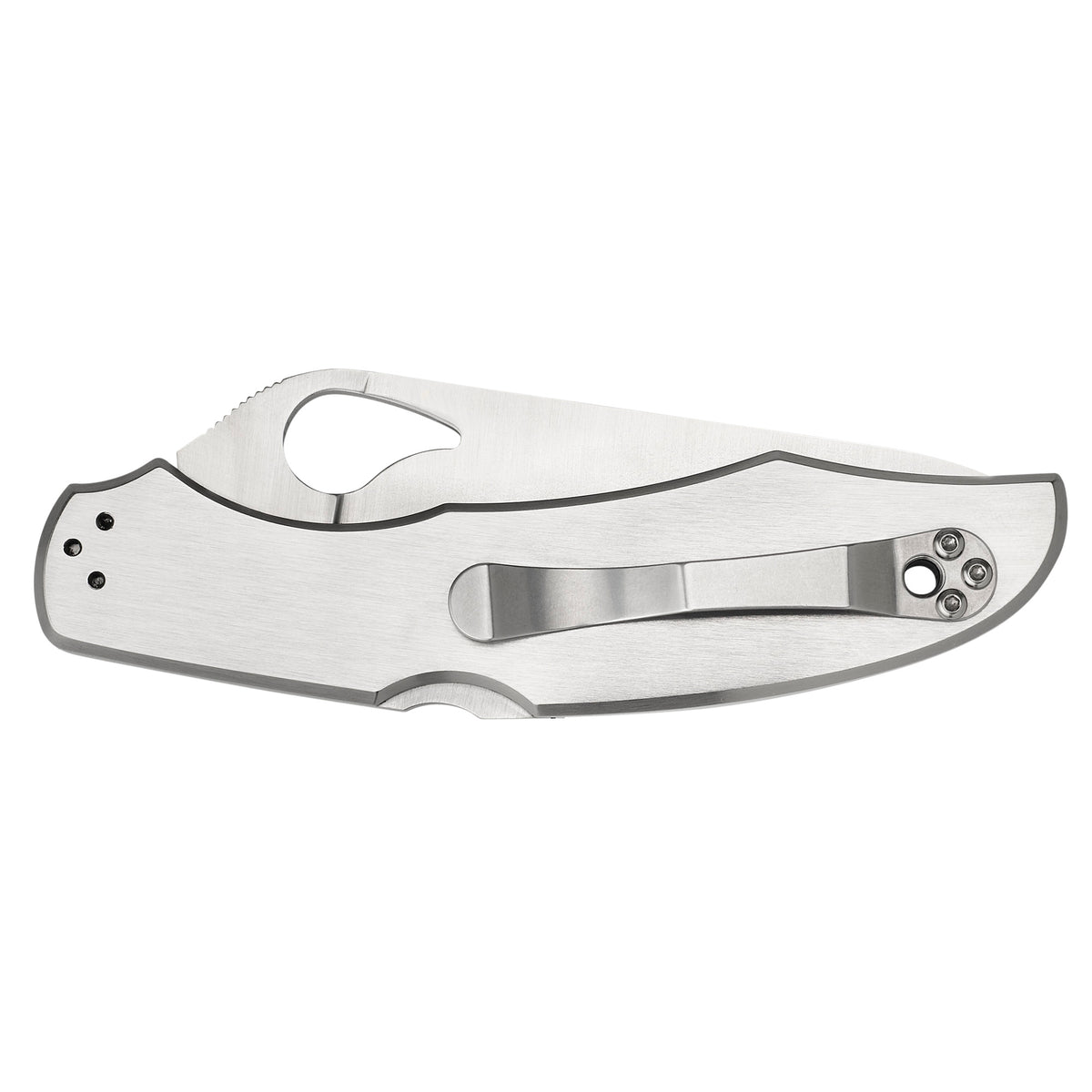 Spyderco Byrd Cara Cara2