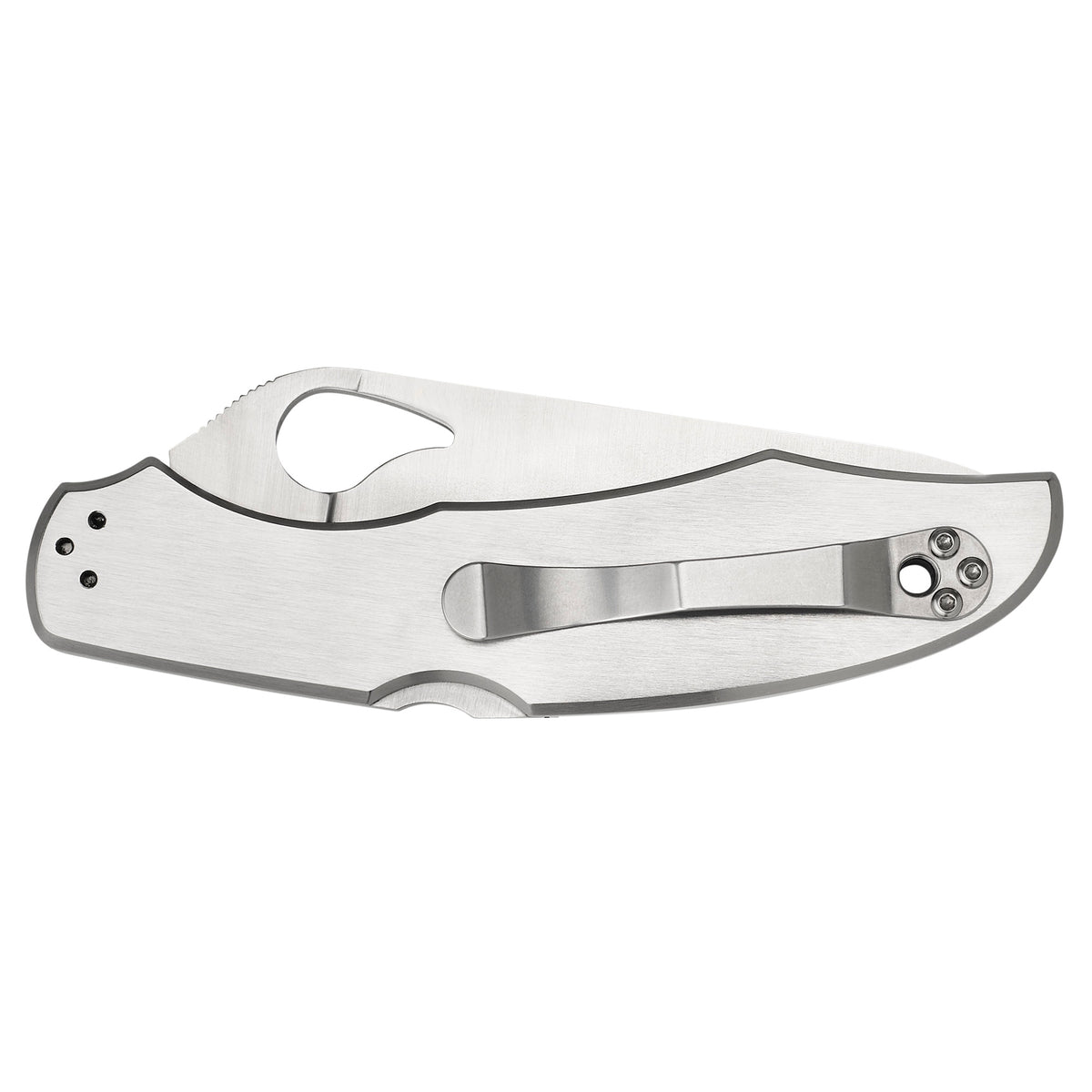 Spyderco Byrd Cara Cara2