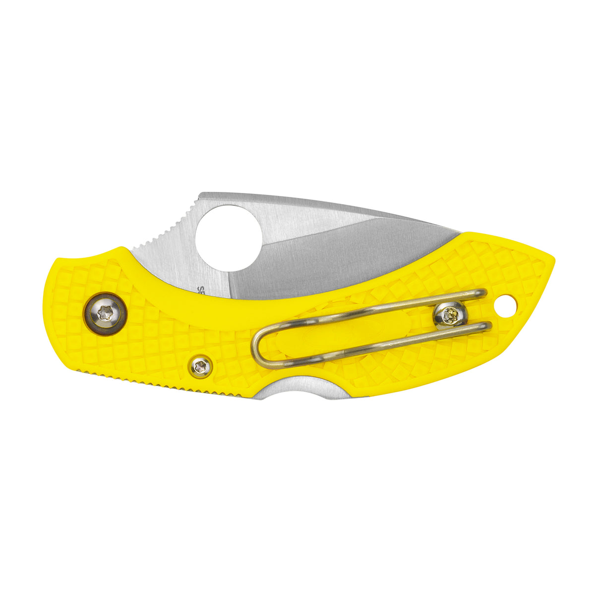 Spyderco Dragonfly 2 Salt